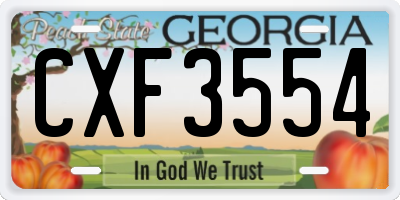 GA license plate CXF3554