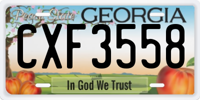 GA license plate CXF3558