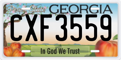 GA license plate CXF3559