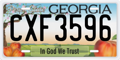 GA license plate CXF3596