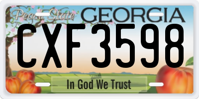 GA license plate CXF3598