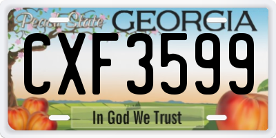GA license plate CXF3599
