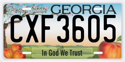 GA license plate CXF3605
