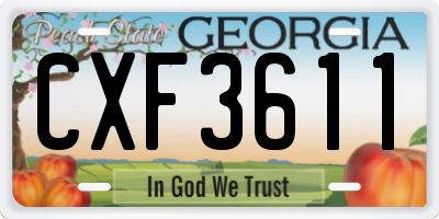 GA license plate CXF3611