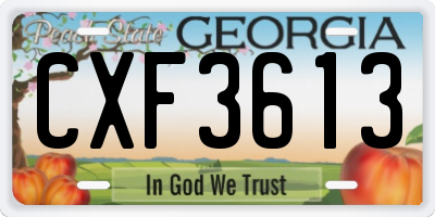 GA license plate CXF3613