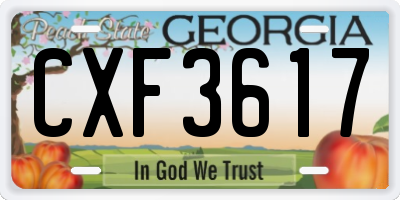 GA license plate CXF3617