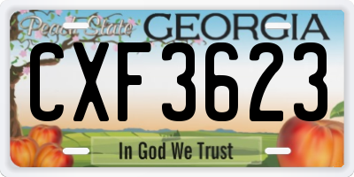 GA license plate CXF3623