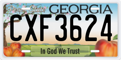 GA license plate CXF3624