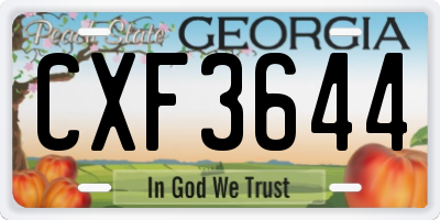 GA license plate CXF3644