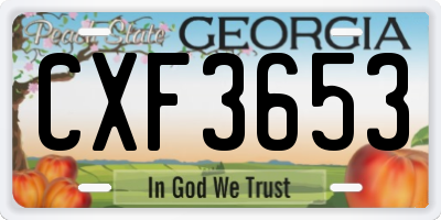 GA license plate CXF3653