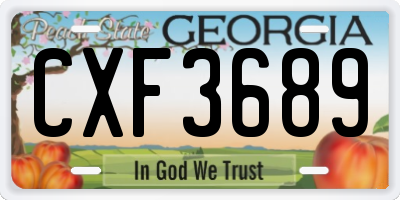 GA license plate CXF3689