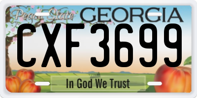 GA license plate CXF3699