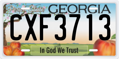 GA license plate CXF3713