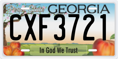 GA license plate CXF3721
