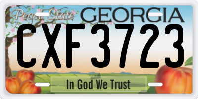 GA license plate CXF3723