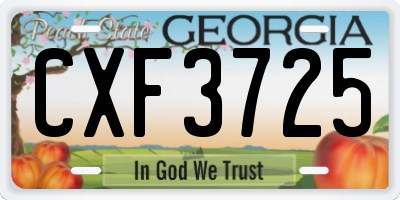 GA license plate CXF3725