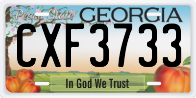 GA license plate CXF3733