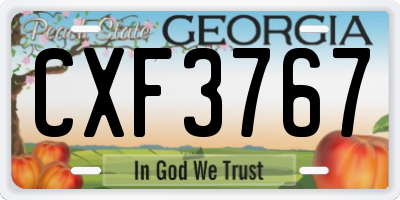 GA license plate CXF3767