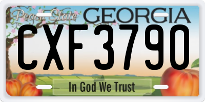 GA license plate CXF3790