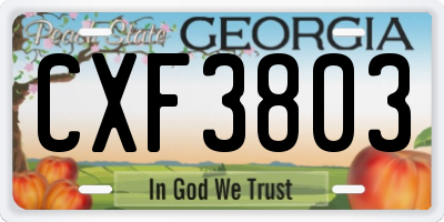 GA license plate CXF3803