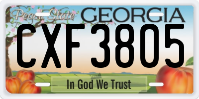 GA license plate CXF3805