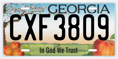 GA license plate CXF3809