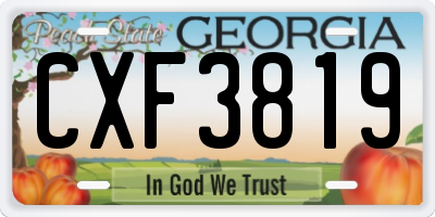 GA license plate CXF3819
