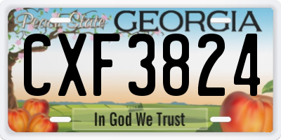 GA license plate CXF3824
