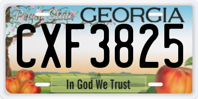 GA license plate CXF3825