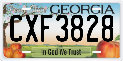 GA license plate CXF3828