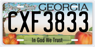 GA license plate CXF3833