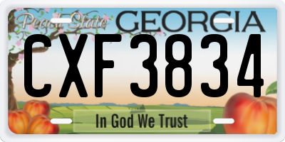 GA license plate CXF3834