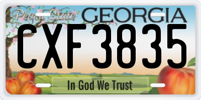 GA license plate CXF3835