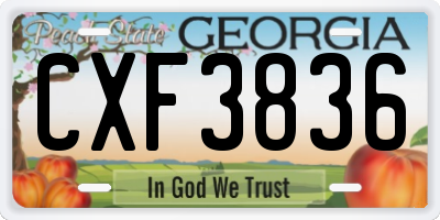GA license plate CXF3836