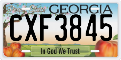 GA license plate CXF3845
