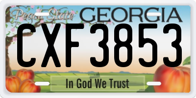 GA license plate CXF3853