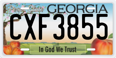 GA license plate CXF3855