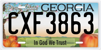 GA license plate CXF3863