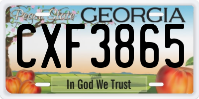 GA license plate CXF3865