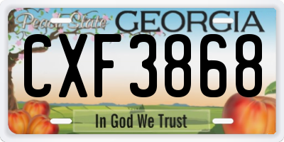 GA license plate CXF3868