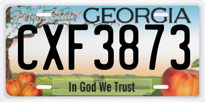 GA license plate CXF3873
