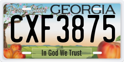 GA license plate CXF3875