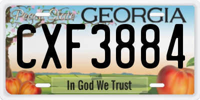 GA license plate CXF3884