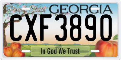 GA license plate CXF3890