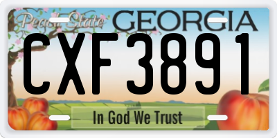 GA license plate CXF3891