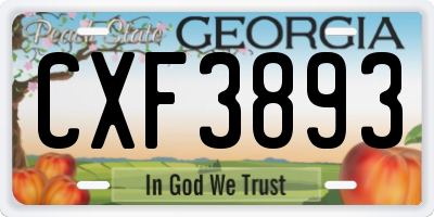 GA license plate CXF3893