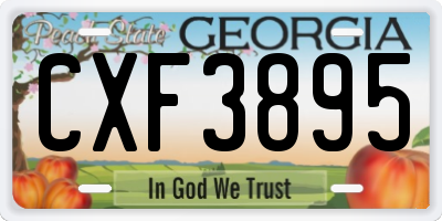 GA license plate CXF3895