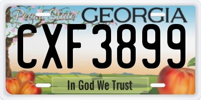 GA license plate CXF3899