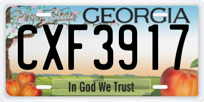 GA license plate CXF3917