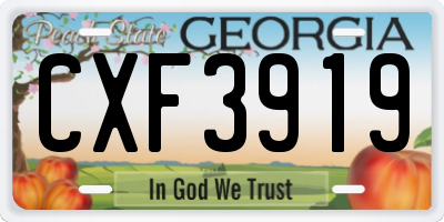 GA license plate CXF3919